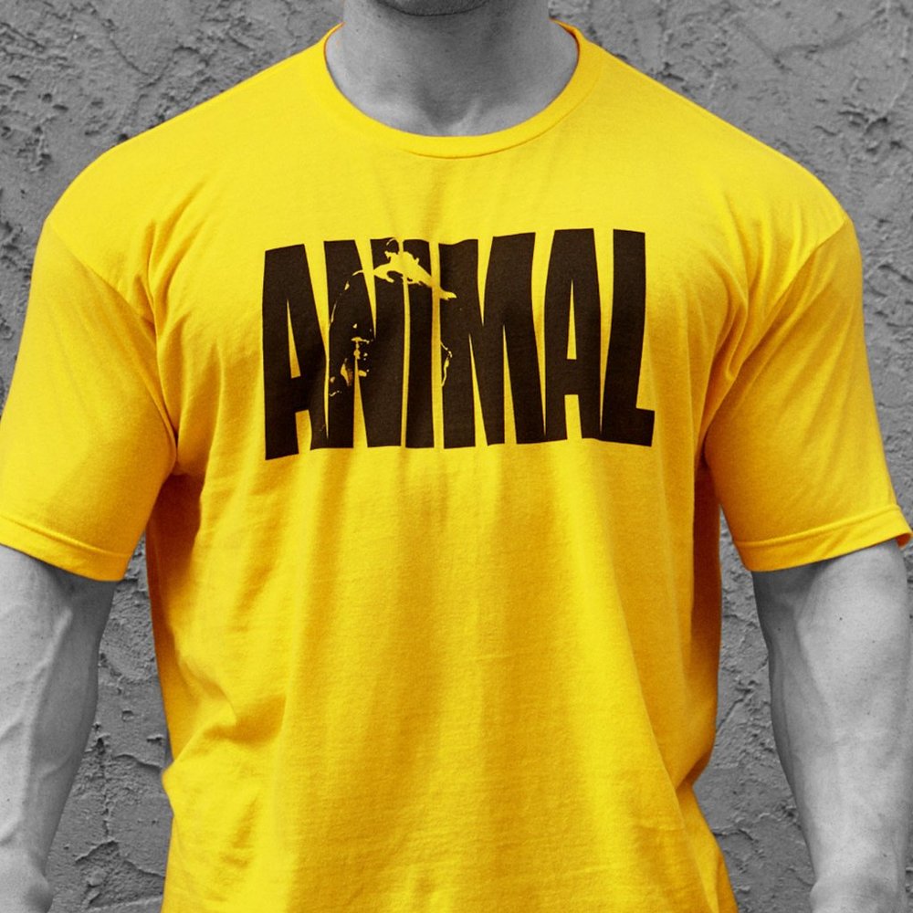 Animal Iconic t-shirt